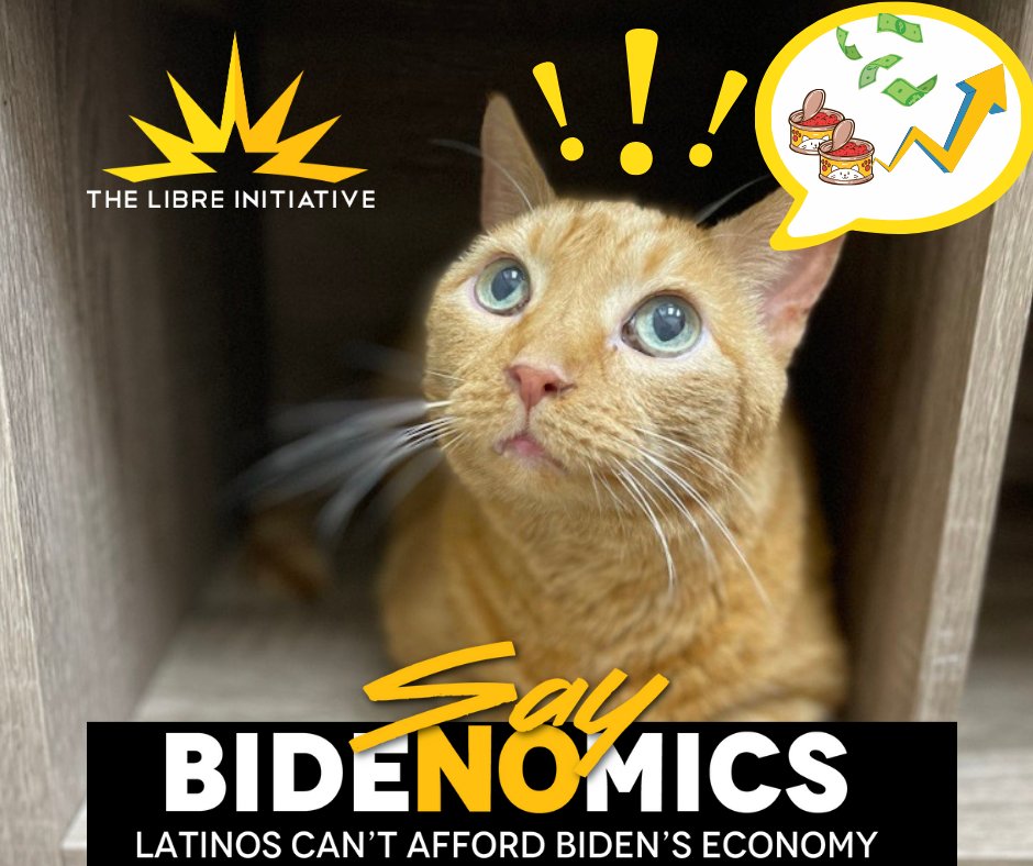 My food went up $24.48 in 2021 to $42.98 in 2024.  I’ve had to cut back to 1 can a day.  If it goes any higher, I’m afraid my people will start to eat my food too.  For #NationalPetDay, remember that #Bidenomics hurts us cats too. 

#BeLIBRE #ncpol