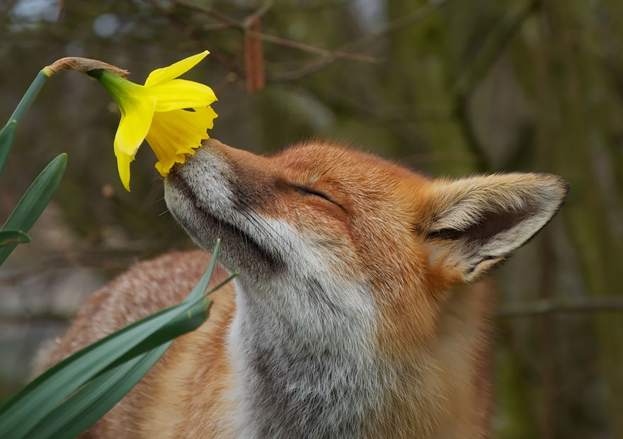 #mood
#photo by Matt Binstead on 500px 
#photography #NaturePhotography #animals #flowers #spring
