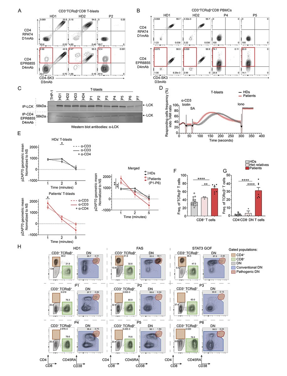 Helper T cell immunity in humans with inherited CD4 deficiency, from @GuerinAntoine6, @Tangye_Lab and colleagues: hubs.la/Q02sjj6K0 Part of our collection on Thymus, T Cell Development, and Inborn Errors: hubs.la/Q02sjkS40