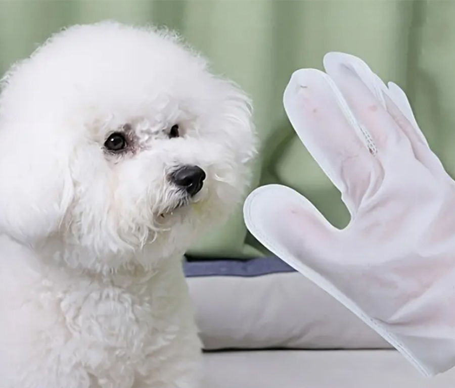 The Future Of Pet Grooming: Pet Glove Wipes dlvr.it/T5NZRs #Living #ManufacturingIndustry #UK #US #World