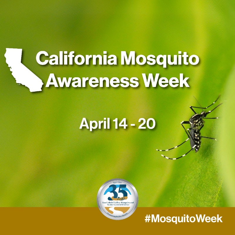 ada_eez's tweet photo. Can you feel the buzz?
California Mosquito Awareness Week 
April 14 - 20 
#MosquitoWeek
#sgvmosquito35th