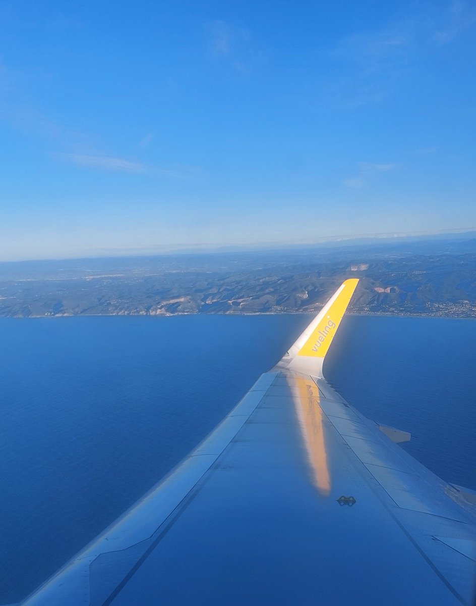 Laura MoralesLH tweet media