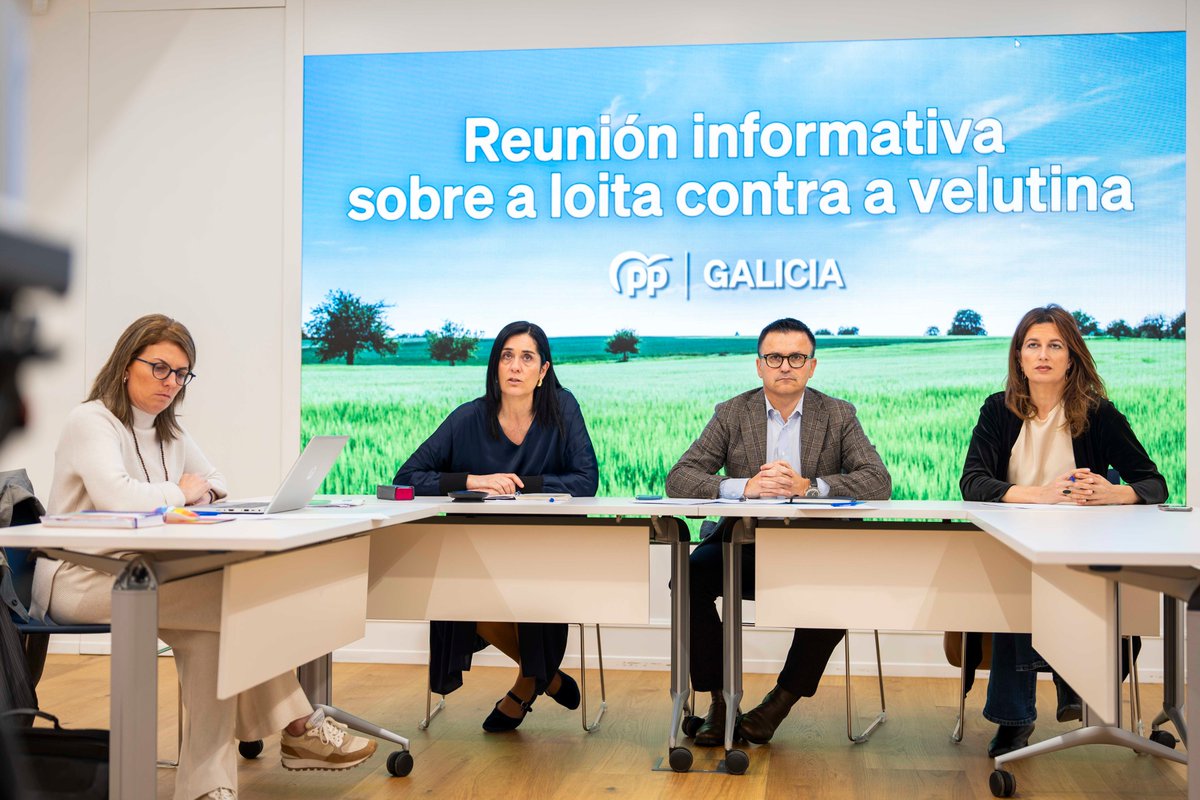 Celebramos unha reunión informativa no @ppdegalicia para explicar as medidas implantadas desde a @Xunta e Seaga contra a avespa velutina, entre as que destacan a retirada de niños primarios e o trampeo xeolocalizado.