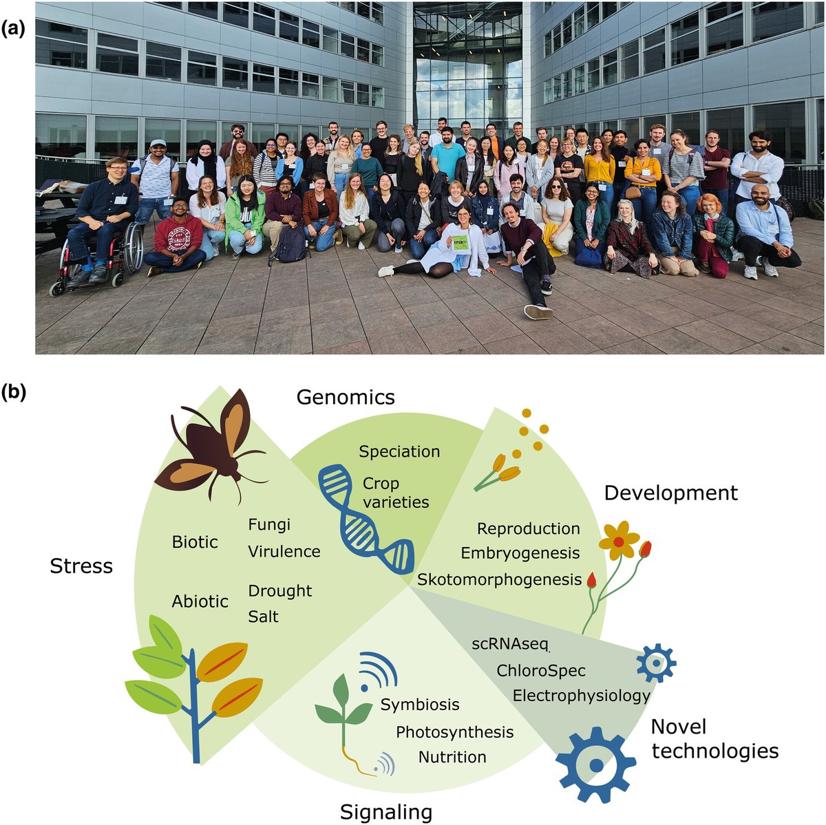 Bringing Europe's early career plant scientists back together Jana Wittmer, Sophia Müller, @RianneKluck and @KilianDuijts #MeetingReport: ow.ly/lRUM50Re3AC @EPSGradSchool #ecrchat