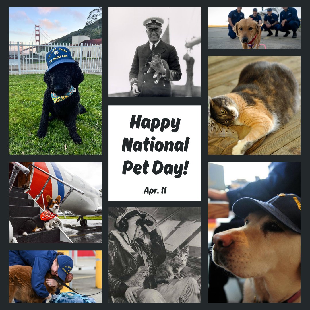 Happy #NationalPetDay from our Coast Guard Family to yours! Share your unit mascots, personal pets, and animal companions in the comments below!  #USCG #CoastGuard #pets #animalfriends