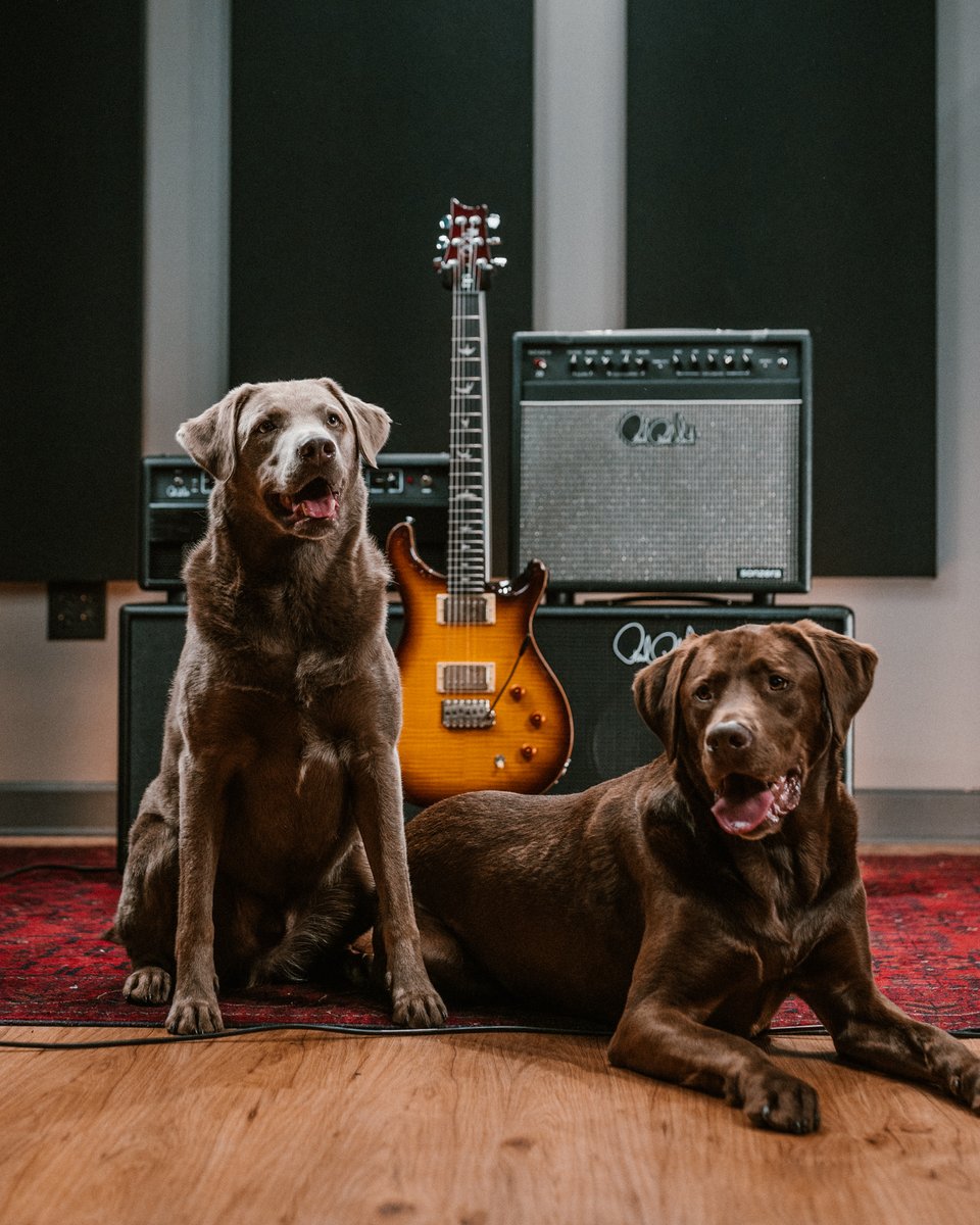 Happy #nationalpetday 🐶 To celebrate, we want to see your furry friends with your PRS!