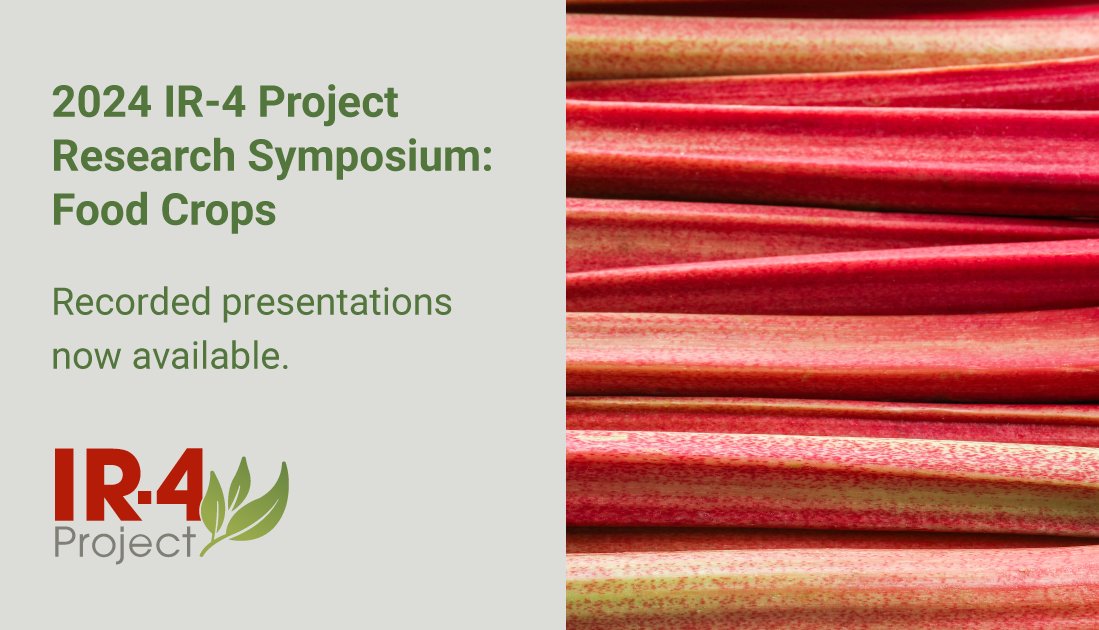The recorded presentations have been posted from Tuesday's IR-4 Research Symposium: Food Crops. Thanks to all who helped make this event a success! ir4project.org/events/2024-rs… #ir4project #researchsymposium