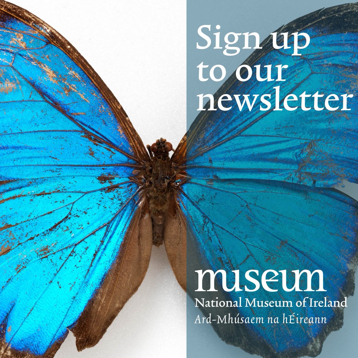 Subscribe to our newsletter today and keep up to date on all Museum events, exhibitions and stories from the behind the scenes. #museum bitly.ws/3hJBR