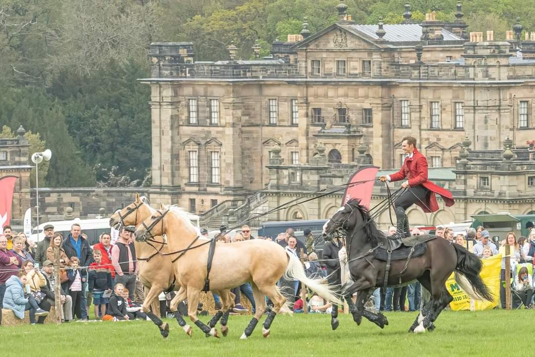 Duncombe Park Country Fair in #Helmsley Bank Holiday Monday 6 May 2024 Come see and experience the thrilling Ben Atkinson and his amazing Team of Stunt Action Horses performing in the Main Arena!