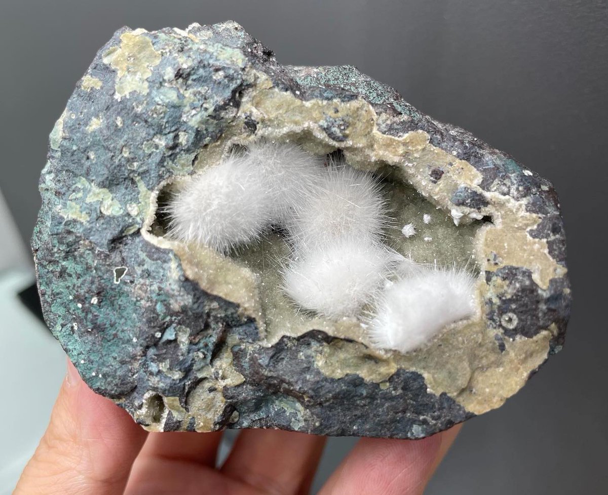 Okenite crystals in small geode! From India. Photo: xue_mineralcollector