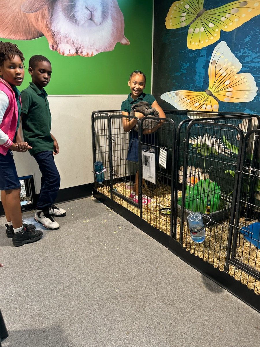 LockhartMagnet's tweet image. Thank you @HumaneTampaBay for  hosting our 2nd graders. They we're excited to read to dogs, play with kitties, visit the bunnies and guinea pigs! #SetSailforSuccess #WeareMagnet @SDHCMagnet @hcps