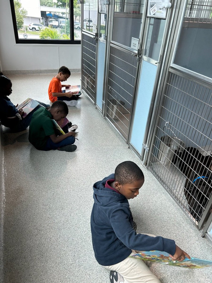 LockhartMagnet's tweet image. Thank you @HumaneTampaBay for  hosting our 2nd graders. They we're excited to read to dogs, play with kitties, visit the bunnies and guinea pigs! #SetSailforSuccess #WeareMagnet @SDHCMagnet @hcps