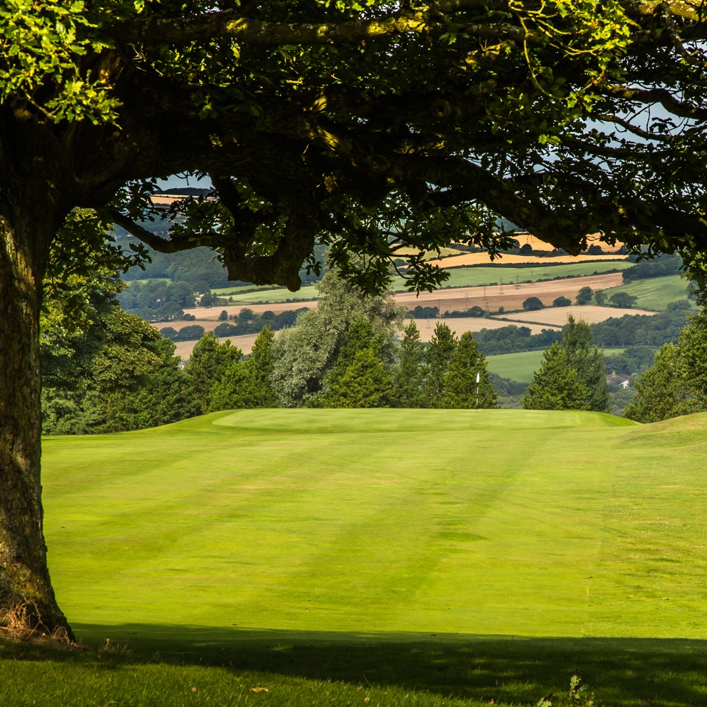 Whickham Golf Club tweet media