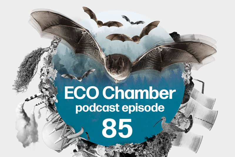 The podcast is live ⚡️
This week we'll find out why @SteveBarclay's 🔥 @DefraGovUK pulled the plug on new #EfW plants and why barbastelle bats are at the centre of a huge road dispute between @NaturalEngland & @NorfolkCC  #NorwichWesternLink
🎧Listen now  podfollow.com/ends