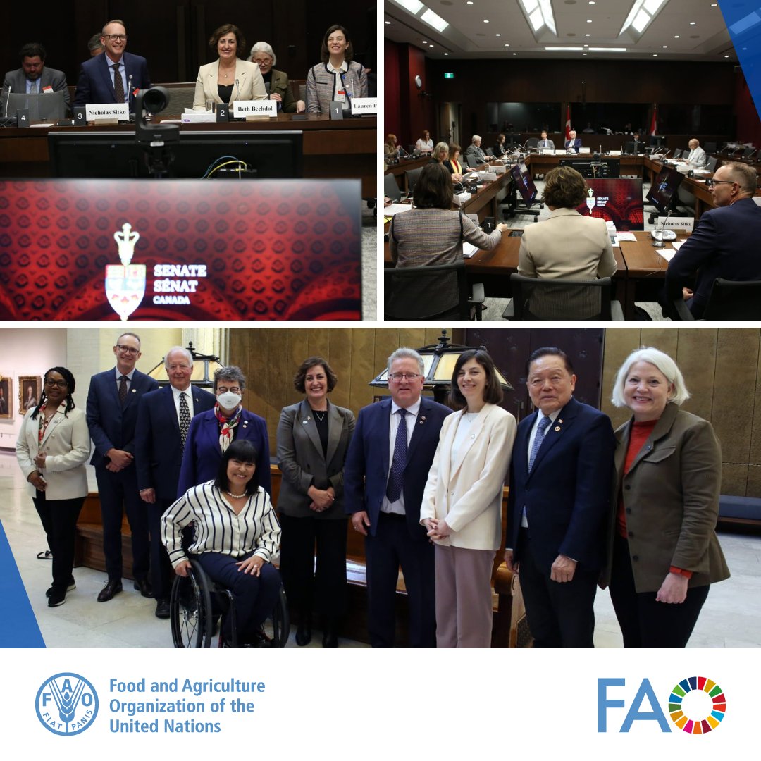 Great week for @FAO at 🇨🇦 @SenateCA !

FAO delegation led by Deputy Director @BethBechdol briefed both committees on Foreign Affairs & International Trade as well as Agriculture & Forestry on the key findings of the #UnjustClimate report.

👉bit.ly/3PYb28U

#AEFA 
#AGFO