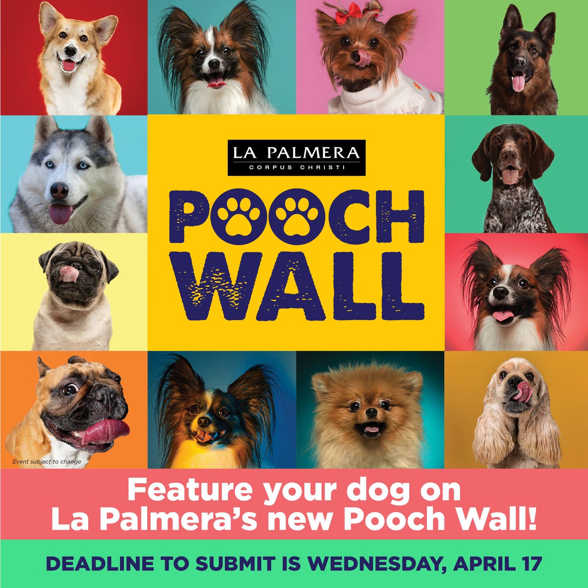 La Palmera is creating a permanent 'Pooch Wall' mural filled with pictures of shoppers' pets! For your dog to be considered as a featured pet, please email a hi-resolution photo to lapalmerainfo@trademarkproperty.com with the subject 'Pooch Wall - Your dog's name' by April 17!