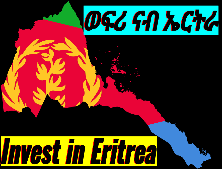 There's no denying that we all desire a developed and prosperous Eritrea, despite the numerous challenges the country continues to face. Let me make this clear: there's no savior coming to rescue Eritrea. A few days ago, I took a very small step and prepared a two-question survey…