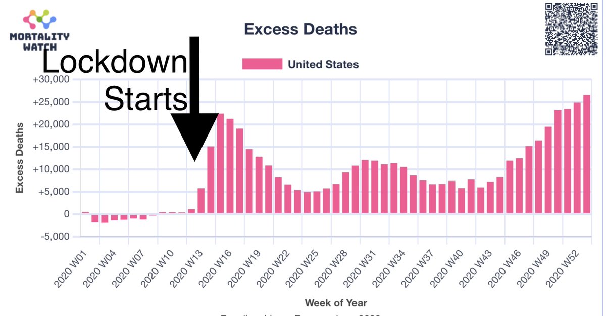 🇺🇸Why did excess deaths only appear in the USA the week AFTER lockdown was introduced?