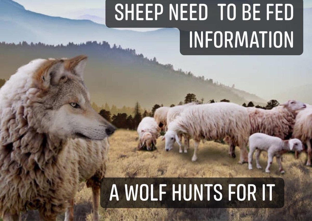 BE A WOLF; NOT A SHEEP!🙏🏼🇺🇸 @V_Lady2024 @TJLakers01 @Tex_2A @RochelleAz @MassholeJay @Sir_Charlsss @Mach11448540 @j0ker937 @Dreambu49405472 @thatgirlSeth @jexykabarker @Drax2431 @btchen_ @cmir_r @Hyperweather1 @rosejam181920 @USAFVet17 @lakemonstercl1 @ArmandKleinX…