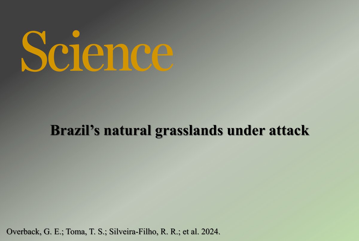 Published in @ScienceMagazine! A bill now under consideration in the Brazilian Congress proposes to remove protection from the country’s 48 Mha of native grasslands, endangering biodiversity and our life quality: 🔗 doi.org/10.1126/scienc…