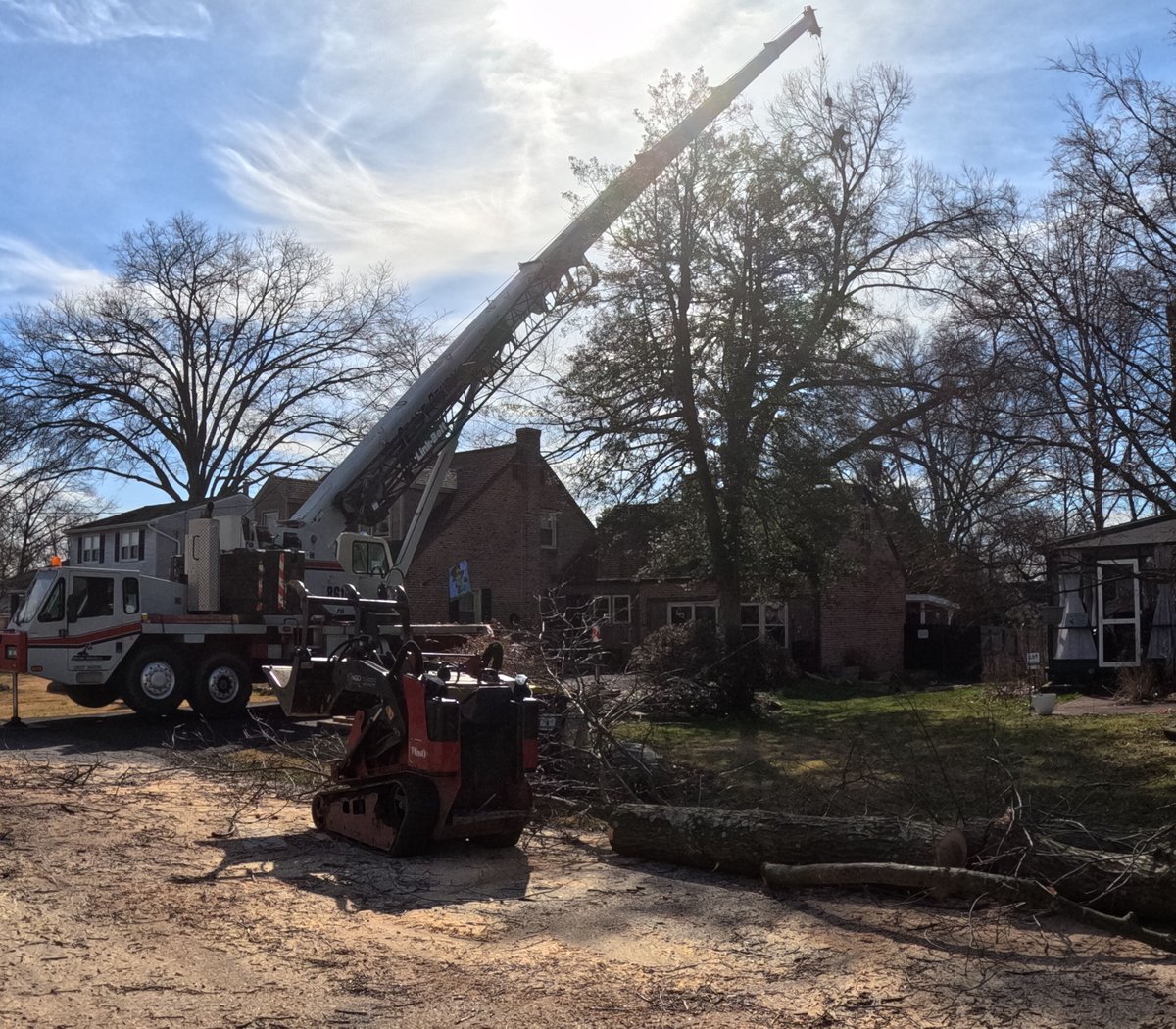 SteinTreeDe's tweet image. When should I prune and how old should a tree be before pruning? The #TreeCareExperts from Stein Tree answers these frequently asked questions: bit.ly/2Kh3tKx #TreePruning