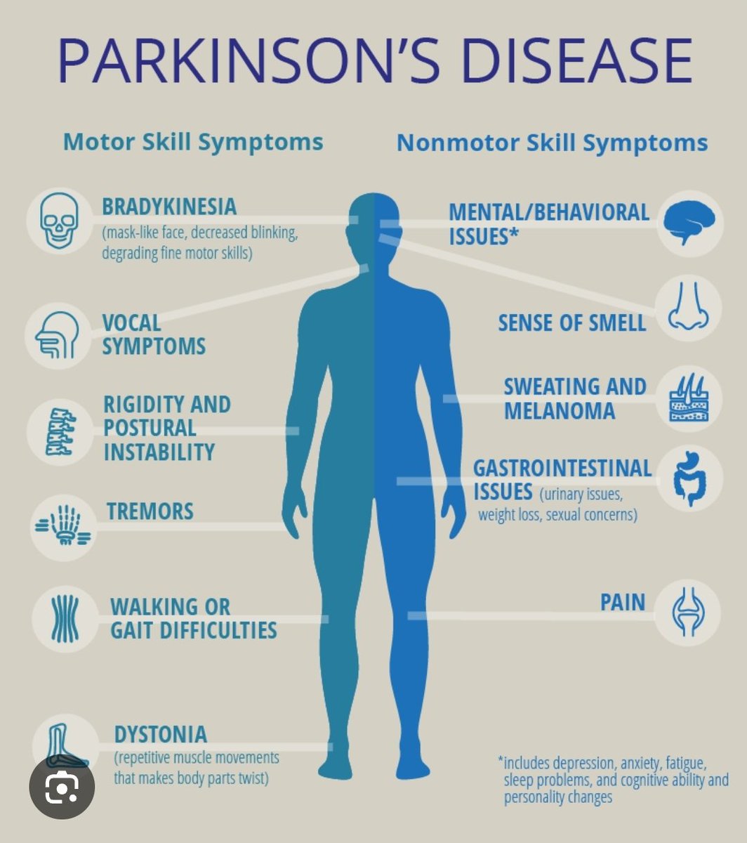 As today is  #WorldParkinsonsDay2024 I thought I'd share some facts about this terrible disease to raise awareness. 💛🐻 #bearswithjobs #teachingyoutosavelives