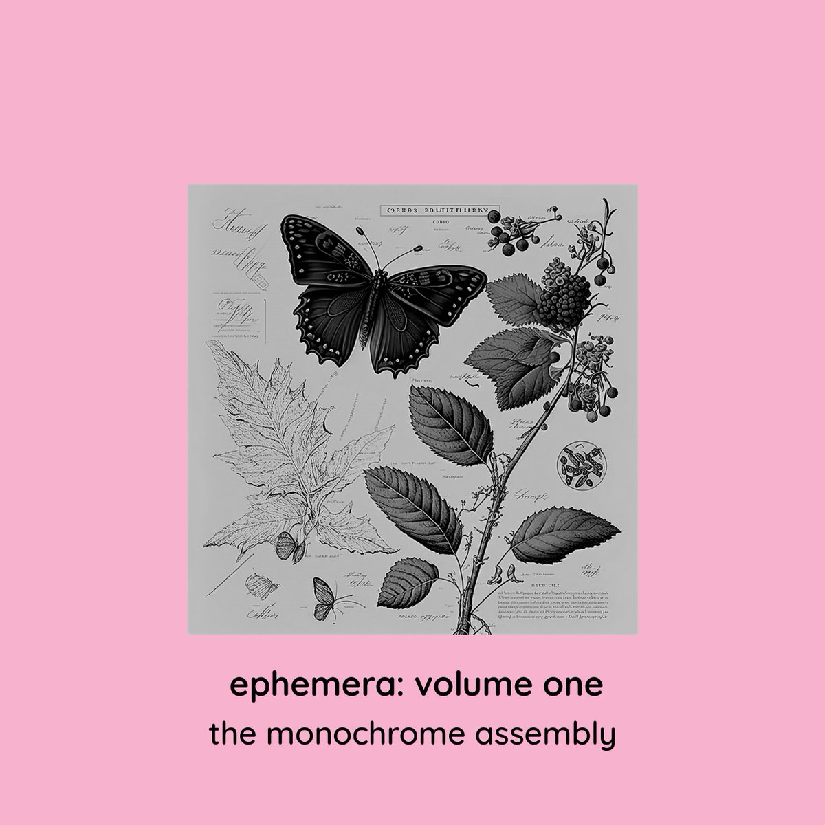Let's tell you a bit more about Ephemera, our first Subscriber only album Track 7 takes us on a lo fi trip to 'Oostende 80' with a track from Voltage Poetry Project @voltage_poetry which will feature in a different mix on his debut album later this year monochromemotif.bandcamp.com/subscribe