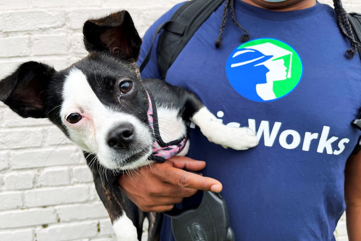 Happy National Pet Day! Our Energy Programs ‘Director of Security and Wellness’, Koco 🐶is here to brighten your day! ✨ What are some ways you plan to celebrate the Earth this month? Let us know in the comments. Koco wants to know! 🌎🐾