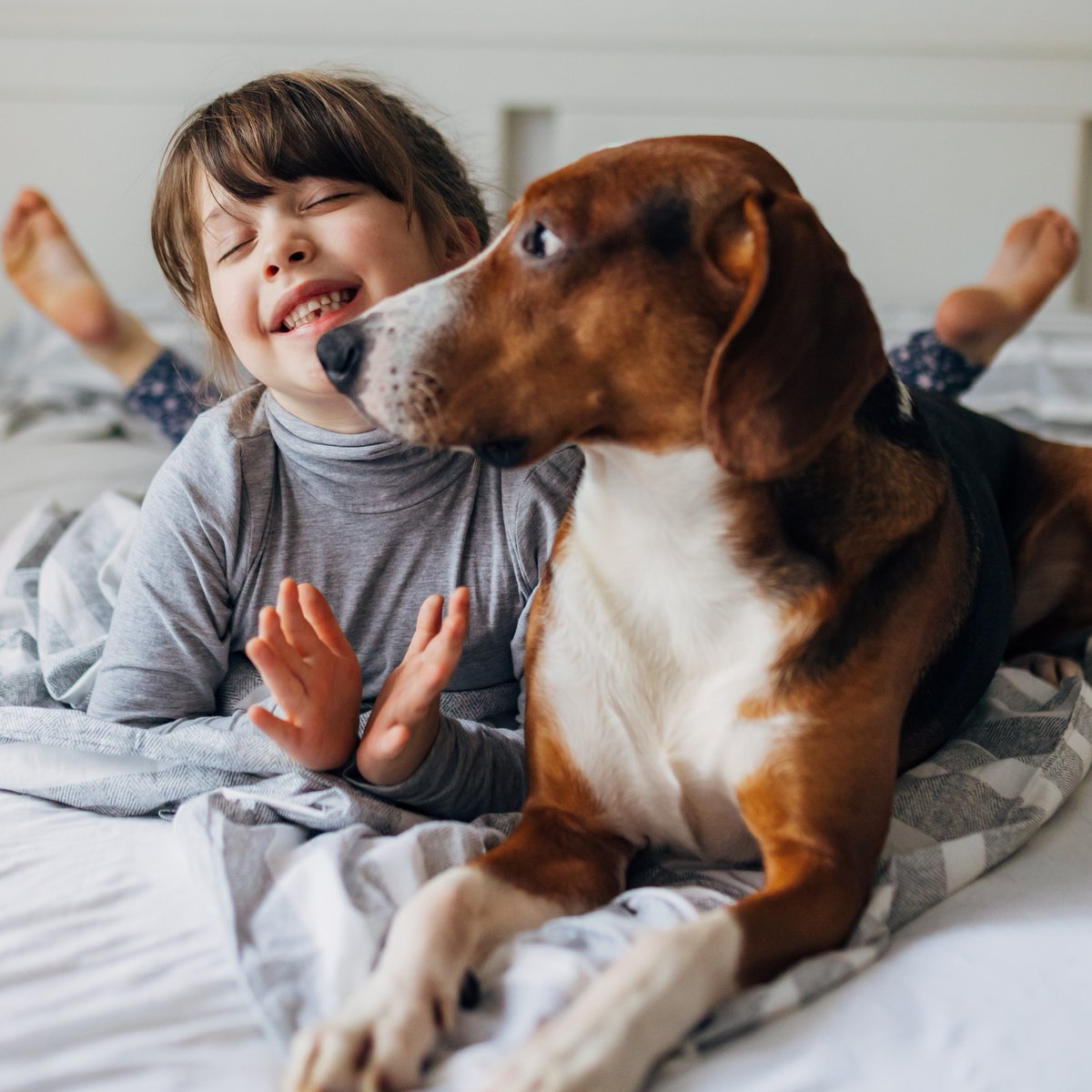 The unconditional love from our pets is a special kindness that has the ability to heal. This #NationalPetDay, give an extra cuddle to your furry friends who provide support year round. #Hellohumankindness