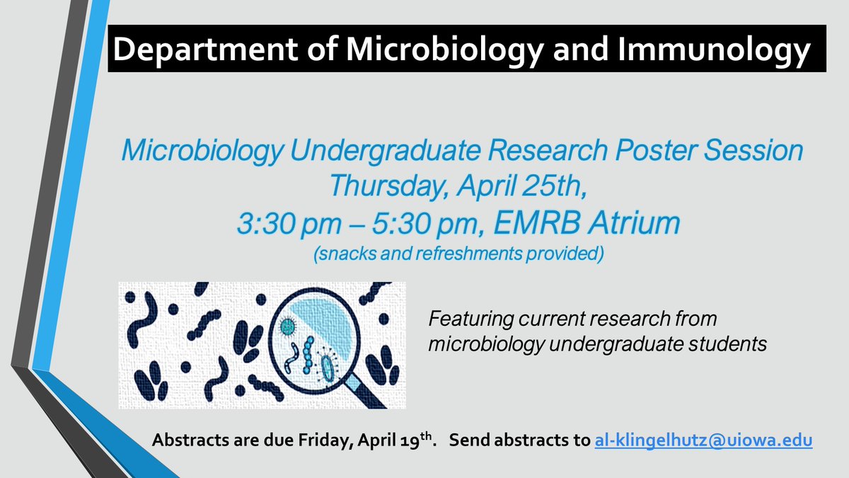 🔬 Calling all Microbiology majors! 🦠 Share your research at our Microbiology Undergraduate Poster Session on April 25th in the EMRB atrium from 3:30-5:30 PM. Let's showcase your work! Send abstracts by Friday, April 19th to Professor Klingelhutz: al-klingelhutz@uiowa.edu