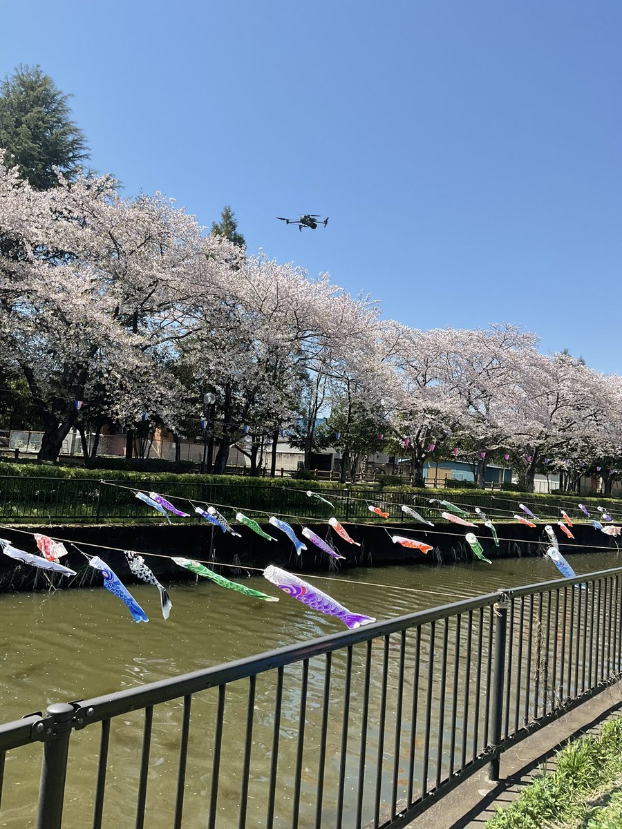 dronehito's tweet photo. 協会員で館林市の鯉幟🎏を空撮しました❗️
後ほど動画もアップしますので、宜しく。
#ドローン
#ドローン空撮
#ドローン協会
#ドローンスクール
#群馬県ドローン普及協会
#Hito企画ドローン事業部
#群馬県
#伊勢崎市
#館林市
#鯉幟 https://t.co/mR3J5cySGd