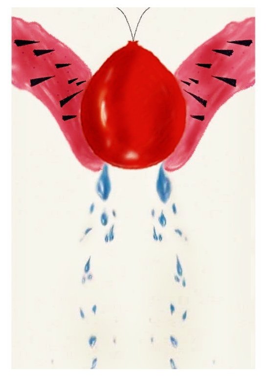 $achin ₹aghav (@iamsr_art) on Twitter photo 