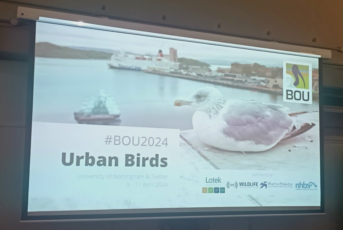 Florence Blackbourn (@floblackbourn) on Twitter photo Heading home after an enjoyable couple of days at my first <a href="/IBIS_journal/">BOU 👩🏻🏫👨🏿🏫🧕🏽👳🏽♂️ 🌈</a> conference in Nottingham, this year on urban birds. Lots of interesting research going on! 
#BOU2024 Heading home after an enjoyable couple of days at my first <a href="/IBIS_journal/">BOU 👩🏻🏫👨🏿🏫🧕🏽👳🏽♂️ 🌈</a> conference in Nottingham, this year on urban birds. Lots of interesting research going on! 
#BOU2024