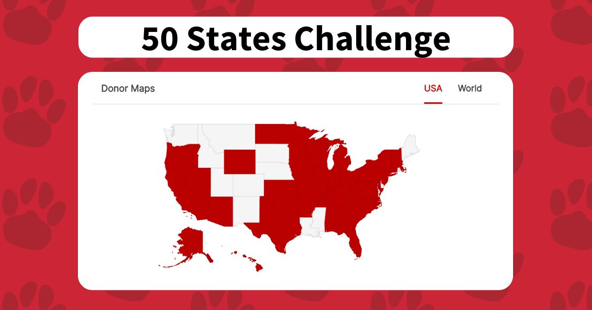 Washington, Idaho, Montana, South Dakota, Nebraska, Utah, Colorado, New Mexico, Louisiana, Mississippi and Maine we NEED YOU! Help us complete our 50 states challenge this #DoubleDawgDay ❗ Giving Link: give.gardner-webb.edu/double-dawg-da…