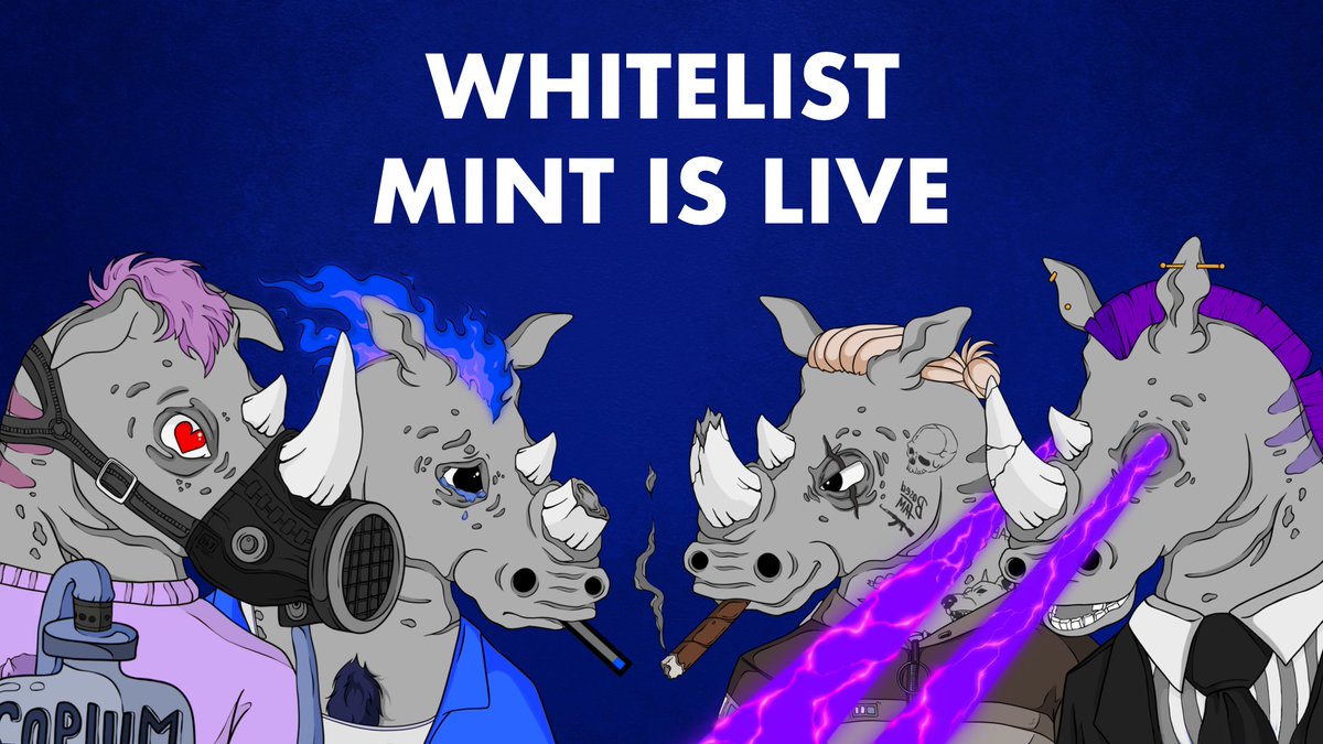 Based Rhinos 🦏 tweet media