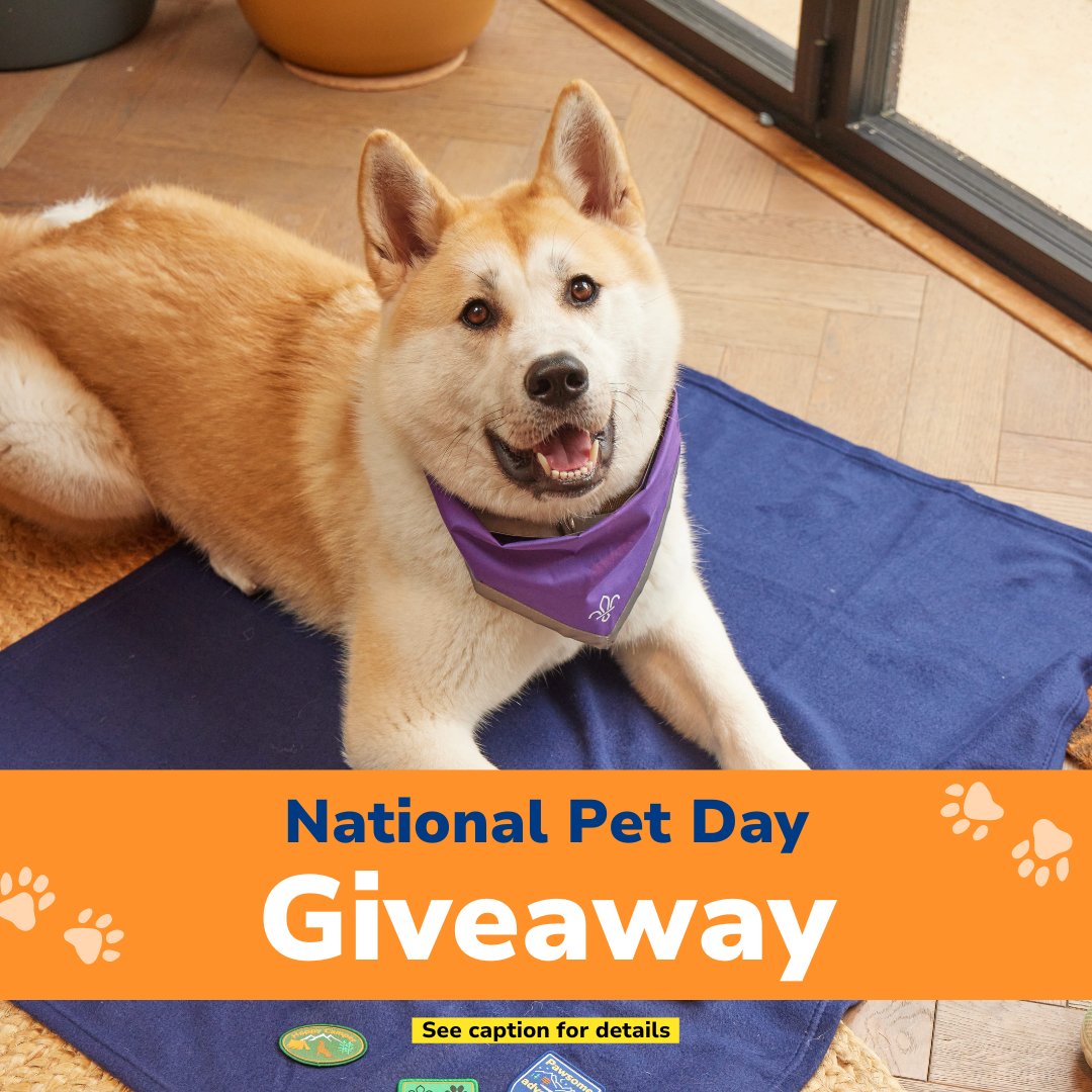 #Giveaway To win our FDL Pet Blanket for your furry friend: - Share a photo of your pet and tag us @scoutstore1917 or DM us the photo - Tag a friend who'd also like to win Winner chosen randomly. Entries close at 23:59 on 13/4/24. UK only. Winner must reply within 24hr.
