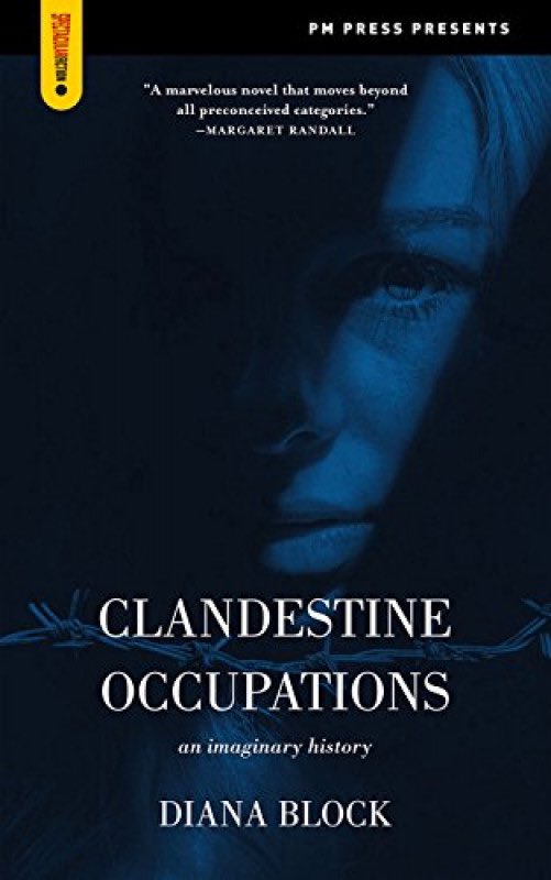 that decompositions piece has me thinking a lot about the social reproduction of resistance and this book — about generations of women in and around the clandestine revolutionary struggles of puerto rican independenistas and the BLA — is nothing if not the care of revolt