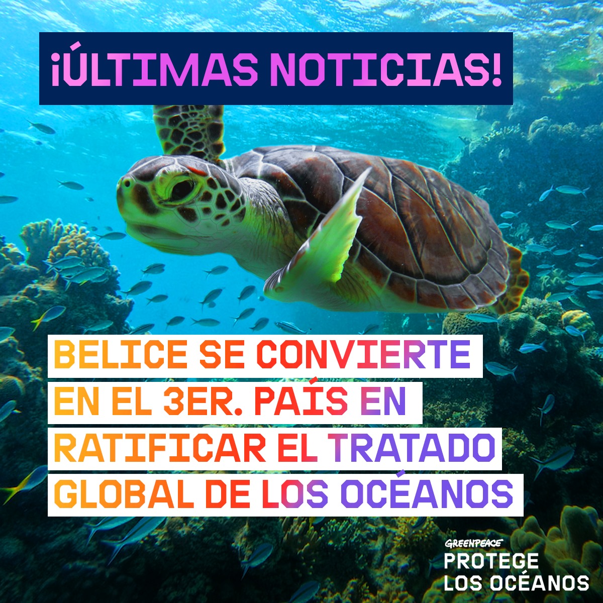 📢 Belice es el tercer país en ratificar el Tratado Global de los Océanos. ⁣⁣ El Tratado lograría la creación de santuarios oceánicos, pero al menos 60 países deben ratificarlo. ⁣ Pide al Gobierno de México que no le falle a los océanos.⁣ ¡Firma! ➡️⁣ act.gp/3PXNtNq