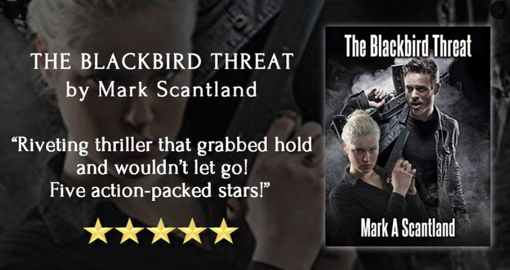 Add some excitement to your week via #thrillerbook 'The Blackbird Threat' by @mark1952ind 📚☕️  amazon.com/BLACKBIRD-THRE… 🥰 #mustread #novel