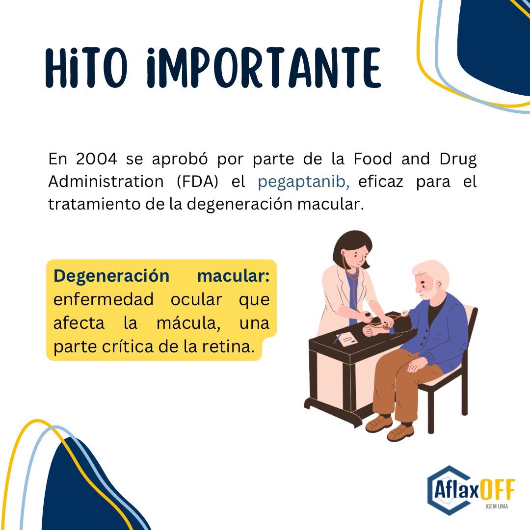 Hi everyone! 😉

Today we talk abou  𝗔𝗽𝘁𝗮𝗺𝗲𝗿𝘀 ✨, 
 a single-stranded nucleic acid oligomer made of RNA or DNA 🧬 which can bind to specific target molecule with high affinity and selectivity 🔬.

#iGem #iGem2024 #Synbio #Science