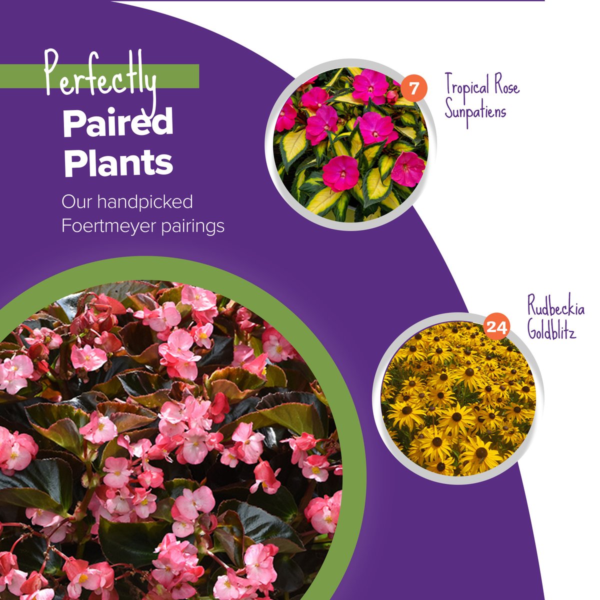 🌹🪻🌸🌺🌷🌻 Don’t know what goes w/ begonias? Try our suggested “Perfectly Paired Plants”. This guide is a way to get a few plants that compliment each other in color, growth, and style! Nord & AJH PTO’s Spring Flower Sale is open thru 4/16 catalog and 4/18 online orders!