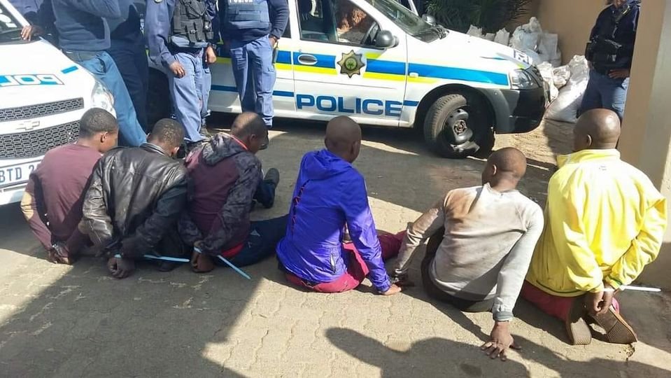 JUST IN

HERE are the 6 suspects who were traced & arrested in Slovoville, Soweto, by the police for shooting & killing Kaizer Chiefs players Luke Fleurs in a hijacking in Johannesburg

#Rushsportson #Amakhosi4Life #OrlandoPirates #Sundowns #RIPLukeFleurs Banyana Desiree Ellis