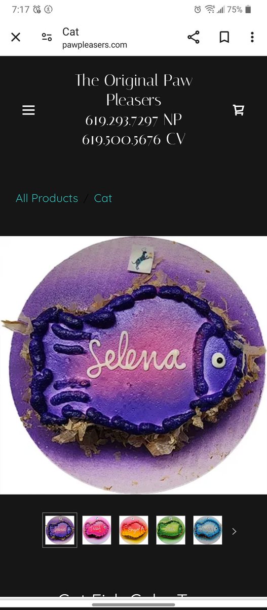 Floofy's first birthday is a month away! I'm thinking of ordering this cute cake. Yes, I'm that type of a cat mama 😂 The shop isn't that far from us, so this is doable. Now, please share ideas for a cat party 🎉