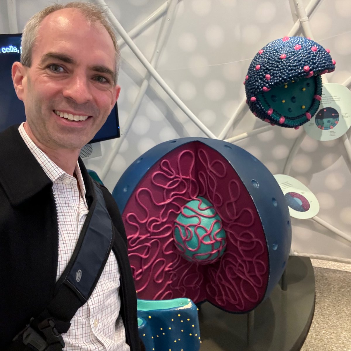 Looking forward to my seminar tomorrow at @UMich_MCDB and share our recent work (thanks to @morgan_desantis and @suehammoud1 for hosting). Hope to see you there. Tomorrow, we rewire the cell. Today I got to walk inside a cell and unpack the nucleus at the cool UMich cell exhibits