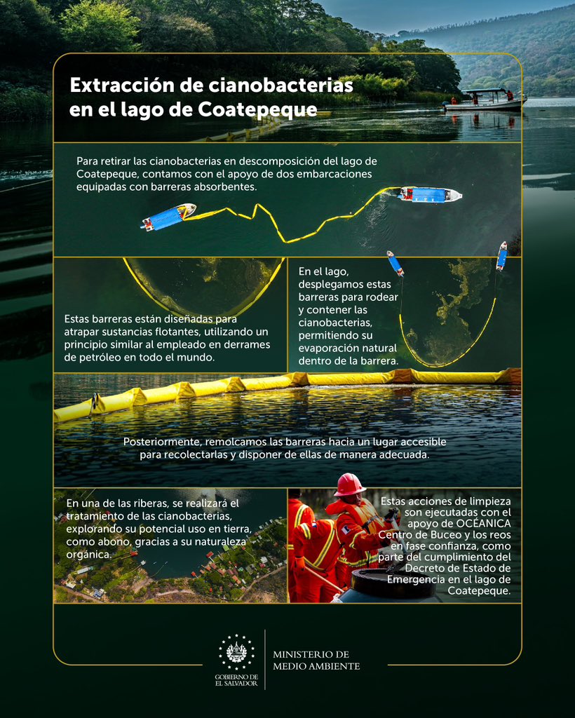 Estamos retirando las cianobacterias en descomposición del lago de Coatepeque. Conoce cómo lo hacemos, junto a OCEÁNICA Centro de Buceo y Centros Penales. 🇸🇻

#DecretoEmergenciaCoatepeque
#AcciónCoatepeque
#YoCuidoCoatepeque