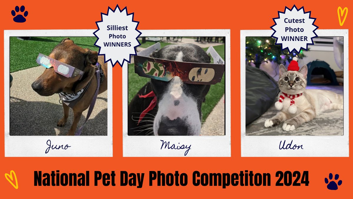 We’d like to interrupt your scrolling to share a very important announcement…the winners of the 1st annual CPower #NationalPetDay photo competition: congrats to CPower’s Berny Werntges for Juno and Maisy winning the Silliest Photo + Tina Chen for Udon winning Cutest Photo! 🐶😺