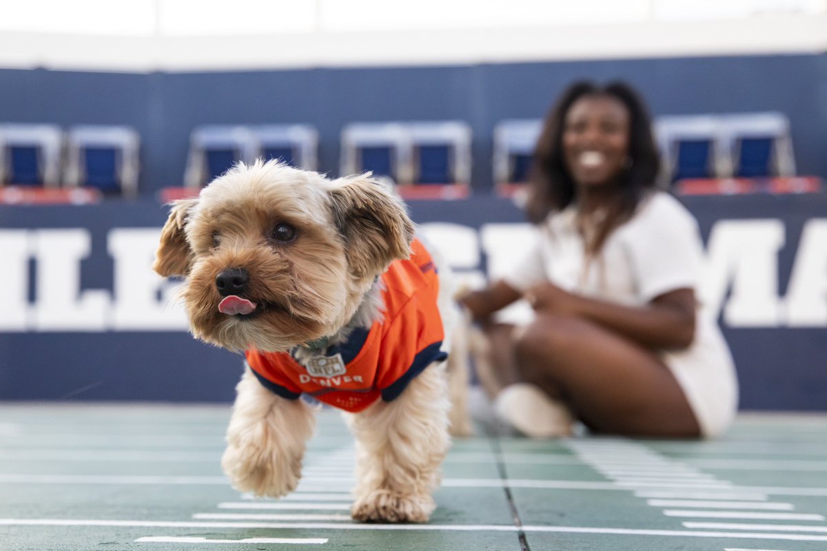 BroncosCheer tweet picture