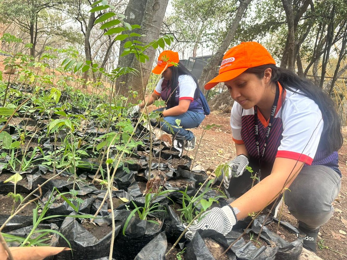 Fundación Ecológica de Tegucigalpa tweet media