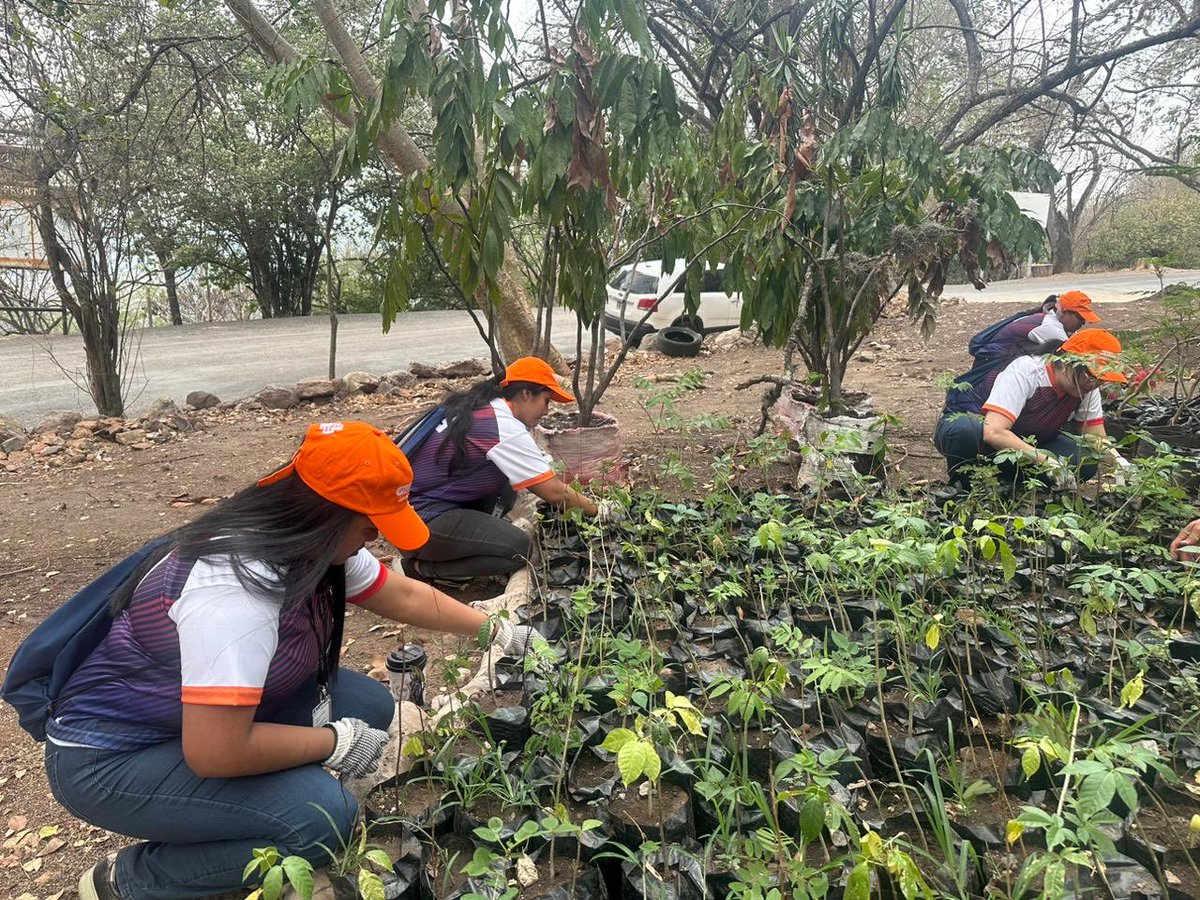 Fundación Ecológica de Tegucigalpa tweet media
