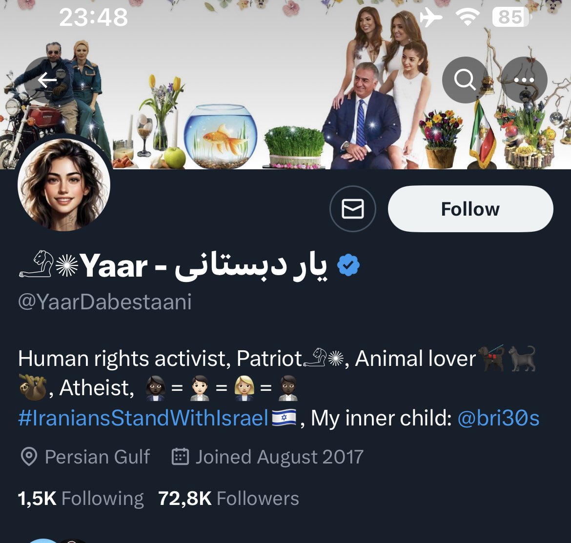 Propaganda backfires. Diaspora Iranians realising that israelis don’t give a sh*t about Iranians. How long before this account deletes the tweet to do damage control?